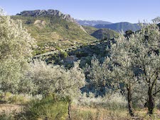 Baronnies de Provence