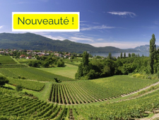 Alpes – Massif des Bauges