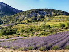 Baronnies de Provence