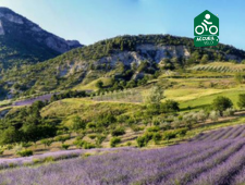 Baronnies de Provence